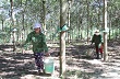 Kon Tum: Nhiều hộ trả sổ nghèo nhờ cây cao su 